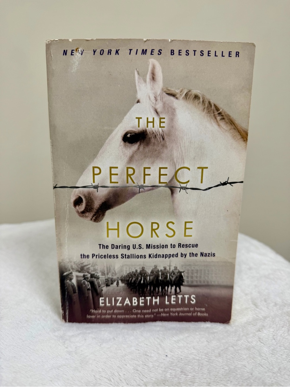 The Perfect Horse by Elizabeth Letts